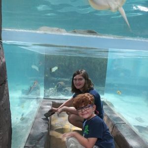 Meet your Posher, Athena